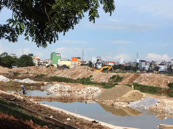 Phó Thủ tướng Vũ Đức Đam tham gia dọn rác tại hồ Linh Đàm ảnh 1