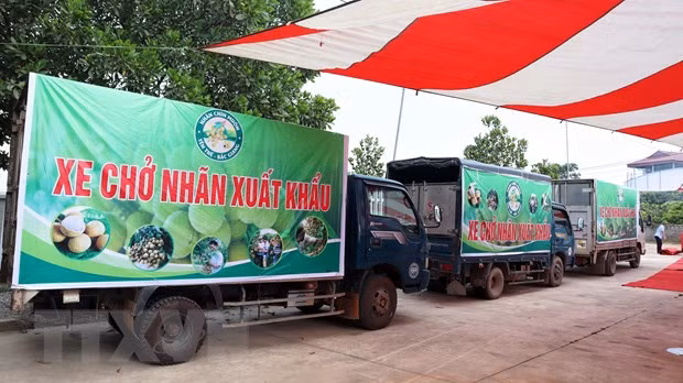 Việt Nam-Australia: Quan hệ song phương chuyển biến quan trọng về chất ảnh 2