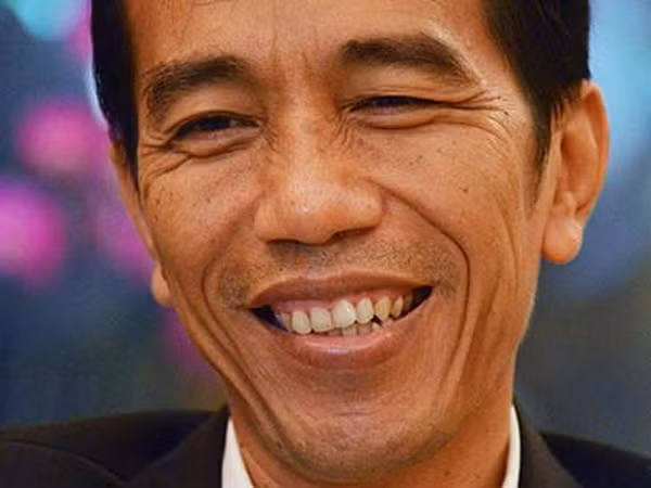 Indonesia: Đảng đối lập tham gia tranh cử tổng thống ảnh 1