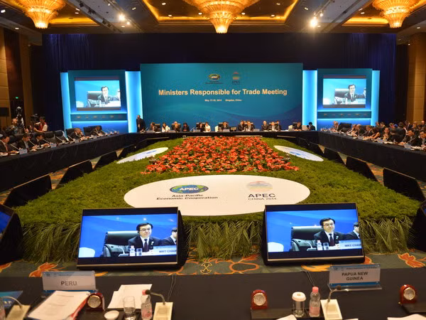 Việt Nam dự Hội nghị Bộ trưởng Thương mại APEC tại Bắc Kinh ảnh 1