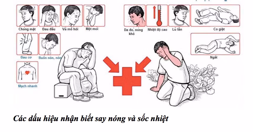 2 người tử vong do sốc nhiệt, cách bảo vệ sức khỏe khi trời nóng? ảnh 3