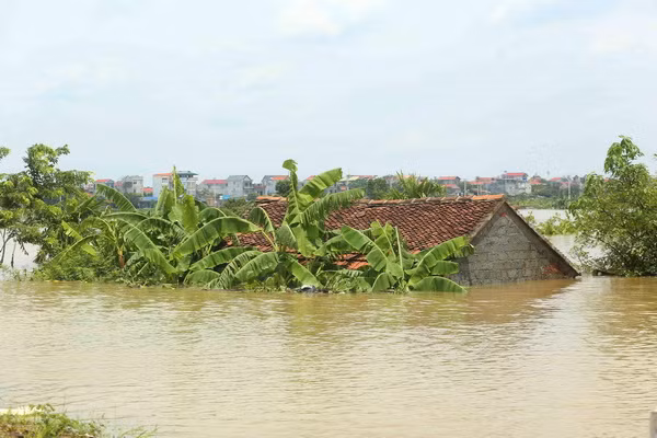 Hà Nội chủ động ứng phó với mực nước nhiều sông tăng nhanh ảnh 2