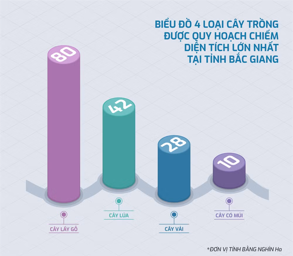 Nâng tầm nông sản Việt từ chiến lược mang tên “Vải thiều Bắc Giang' ảnh 4