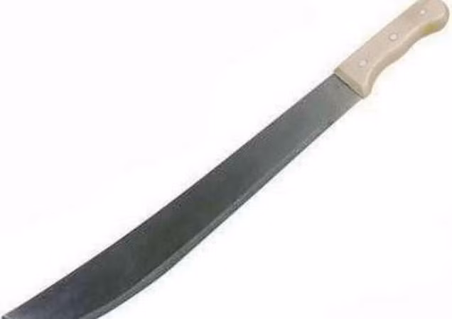 Tấn công bằng dao đẫm máu tại Mozambique, 5 người thiệt mạng ảnh 1