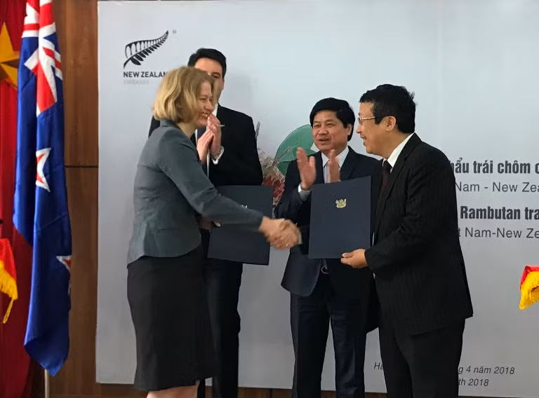 Chôm chôm Việt Nam chính thức thâm nhập vào thị trường New Zealand ảnh 1