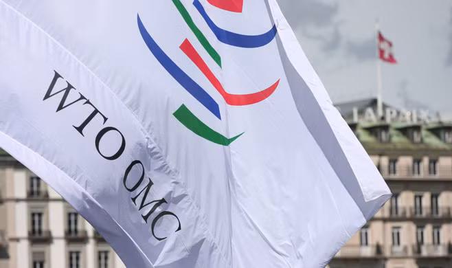 EU đề nghị WTO giải quyết bất đồng thương mại với Nga ảnh 1