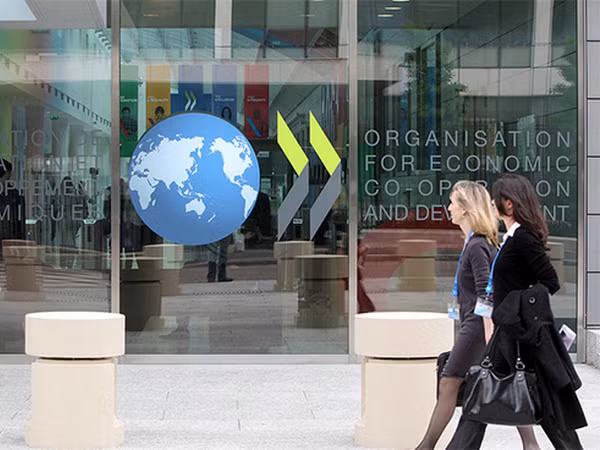 OECD nâng dự báo triển vọng kinh tế với hoạt động thương mại, đầu tư ảnh 1