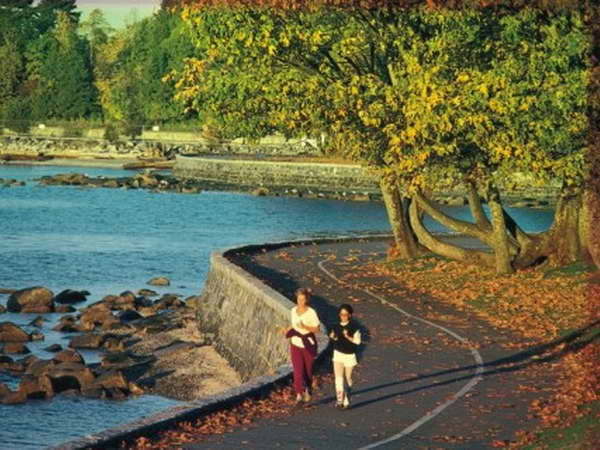 Canada: Công viên Stanley trở thành công viên đẹp nhất thế giới | Vietnam+  (VietnamPlus)