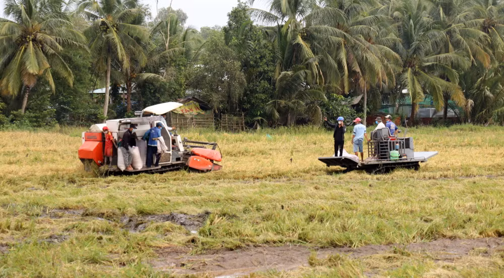 Bộ trưởng Lê Minh Hoan: Xây dựng nền nông nghiệp không đánh đổi ảnh 2