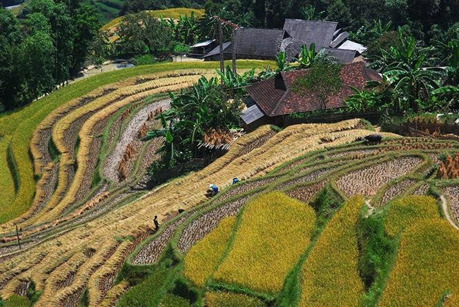 Hà Giang có thêm hai Di sản Văn hóa Phi vật thể Quốc gia ảnh 1