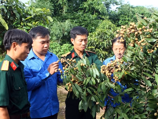 Tuyển 500 cán bộ xã: Khó có khả năng xảy ra tiêu cực ảnh 1