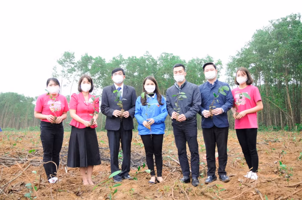Trồng hơn 5,6 triệu cây phủ xanh đất trống đồi núi trọc ở Quảng Trị ảnh 1