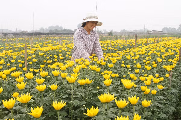 'Làn gió mới' Chỉ thị 40: Tạo đột phá cho tín dụng chính sách xã hội ảnh 2