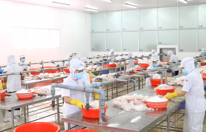 TP.HCM: Đa dạng hoạt động chăm lo Tết Nhâm Dần cho người lao động ảnh 1
