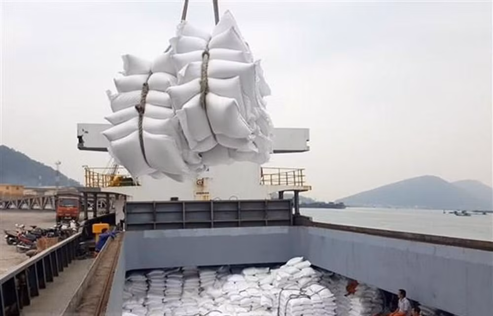 Nhiều doanh nghiệp gạo bỏ trúng thầu dự trữ sang xuất khẩu ảnh 1