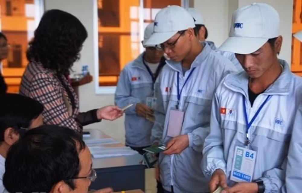 8 doanh nghiệp bị thu hồi, nộp lại giấy phép xuất khẩu lao động ảnh 1