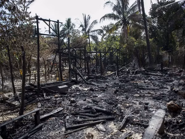 Quốc tế cảnh báo Myanmar về việc trấn áp người Rohingya ảnh 1