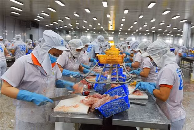 Giải pháp để doanh nghiệp xuất khẩu hiệu quả sang thị trường Algeria ảnh 1