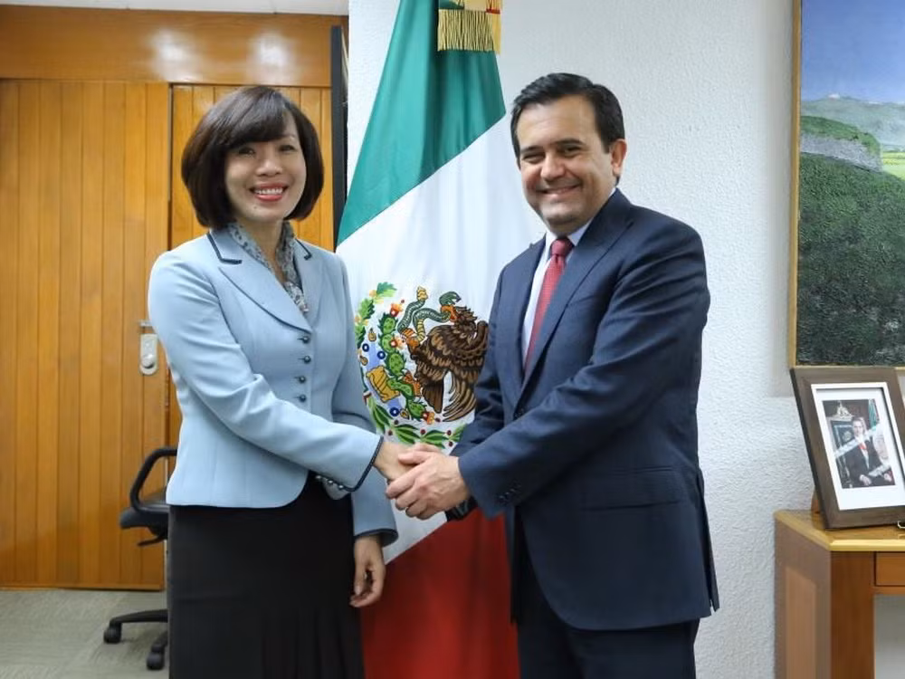 Mexico cam kết thúc đẩy quan hệ hợp tác với Việt Nam ảnh 1