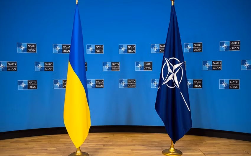 Ukraine tham gia trung tâm phòng thủ không gian mạng của NATO ảnh 1