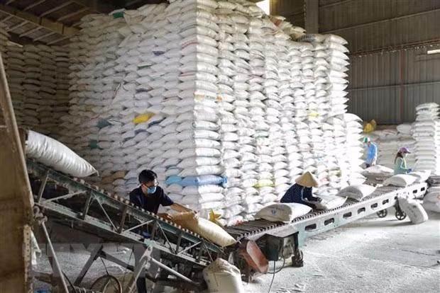 Giá gạo Việt Nam tăng lên mức cao nhất kể từ cuối tháng 4/2023 ảnh 1