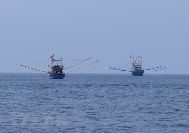 Khắc phục “thẻ vàng” IUU: Thủy sản Việt Nam trước giờ G ảnh 1