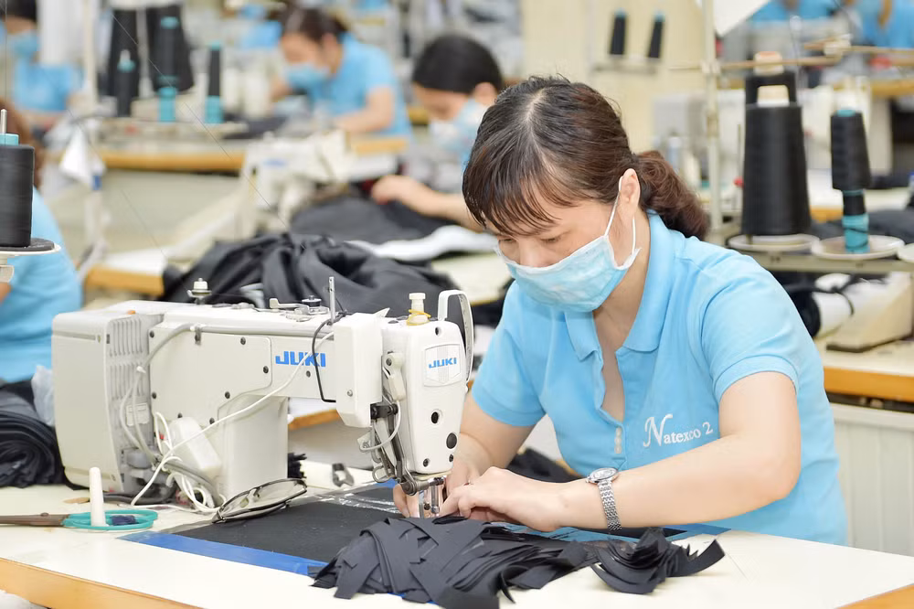 Công nghiệp chế biến, chế tạo chịu tác động gì khi tham gia CPTPP? ảnh 3