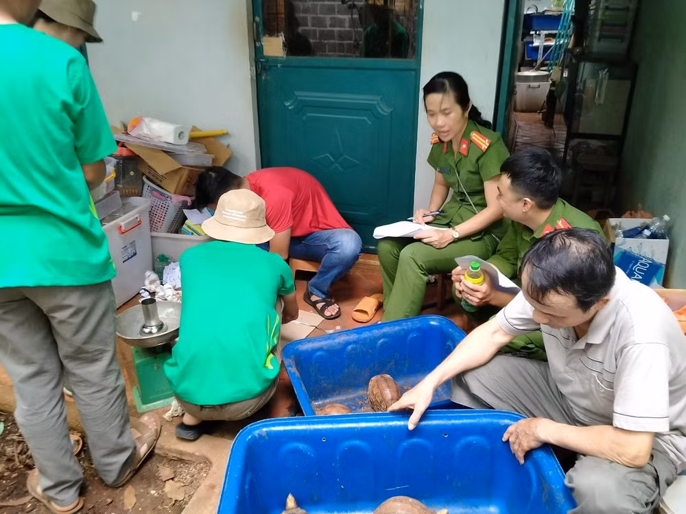 Nhiều cá thể động vật hoang dã quý, hiếm được giải cứu trong tháng Năm ảnh 6