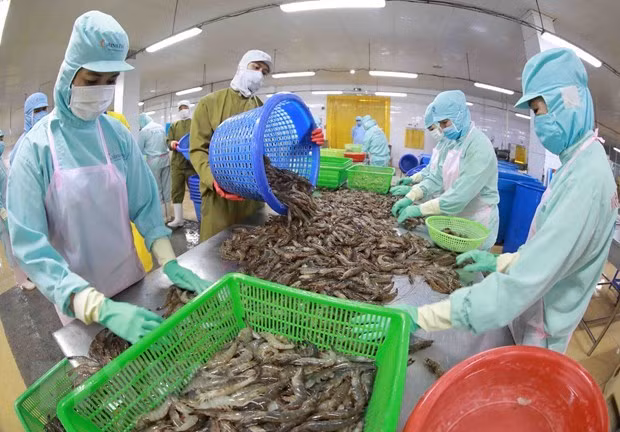 Khó khăn do lạm phát toàn cầu, xuất siêu nông sản quý 1 giảm gần 40% ảnh 1
