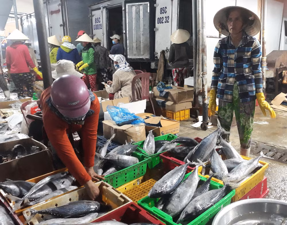 Ninh Thuận: Nhiều mặt hàng thủy, hải sản tăng giá sau Tết ảnh 1