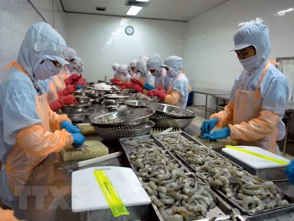 Nhận thức rõ thị trường để đáp ứng đúng yêu cầu về an toàn thực phẩm ảnh 2
