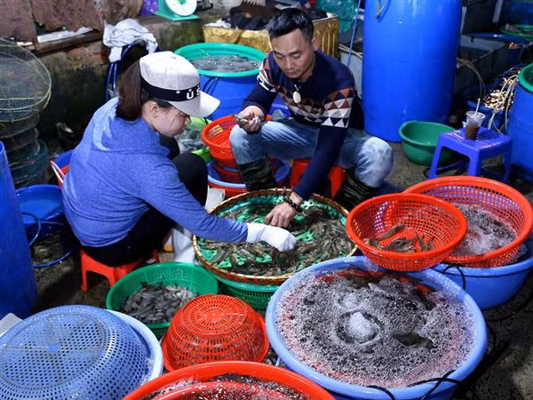 Nguồn cung hàng hóa dồi dào, duy trì ổn định thị trường sau Tết ảnh 2