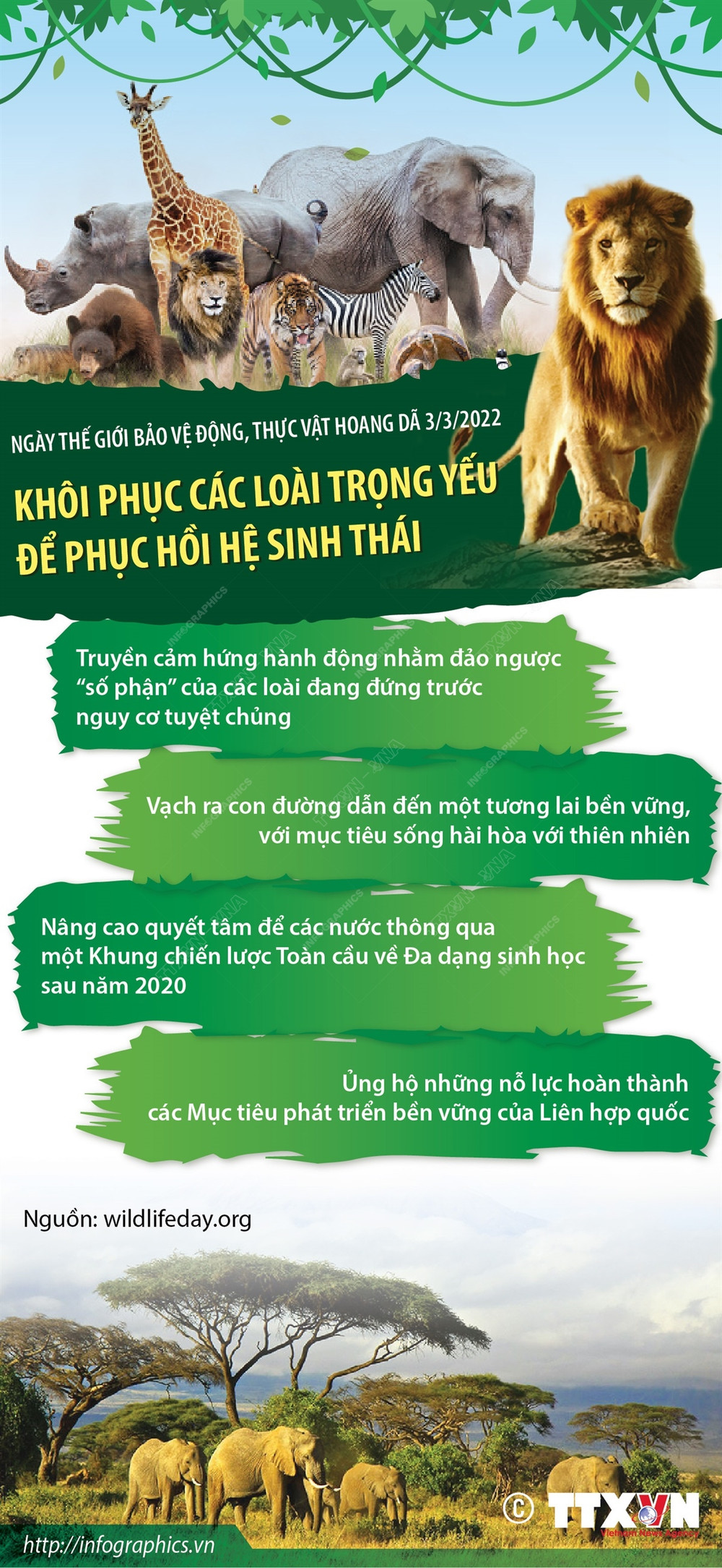 Infographics] Khôi phục các loài trọng yếu để phục hồi hệ sinh thái |  Vietnam+ (VietnamPlus)