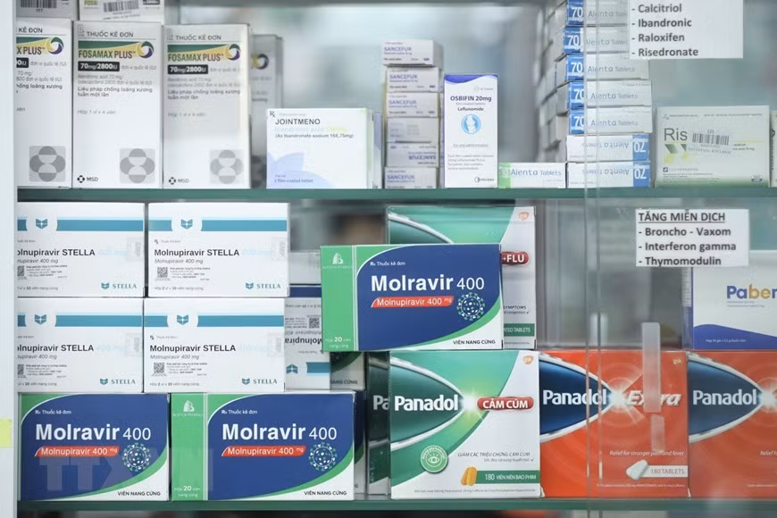 Hà Nội phân bổ khẩn 400.000 viên thuốc Molnupiravir điều trị ảnh 1