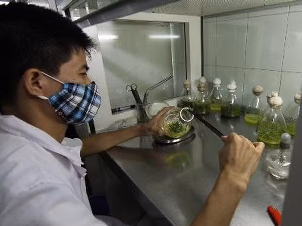 Cần sớm tháo gỡ khó khăn trên con đường khởi nghiệp từ chất xám ảnh 2