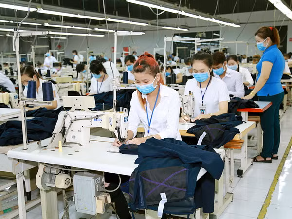 Hiệp định EVFTA mang đến cơ hội cho cả Việt Nam và EU ảnh 2