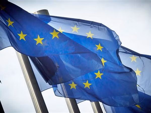 EU nhất trí cách phương pháp tiếp cận mới đối với các FTA ảnh 1