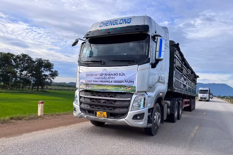 Vinamilk tiếp nhận hơn 1.500 bò sữa từ Mỹ về các trang trại Green Farm ảnh 5