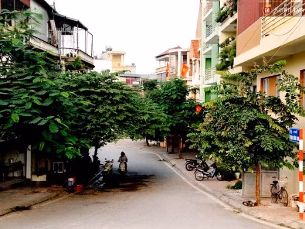Phố Trịnh Công Sơn ở Hà Nội: "Một con đường nhỏ trả lời cho tôi" ảnh 1