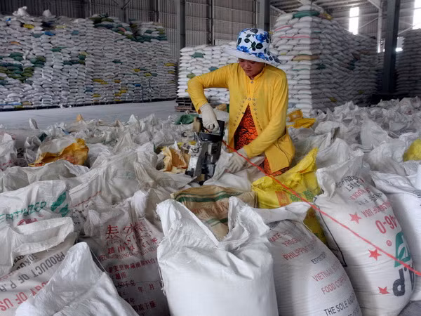 Đồng bằng sông Cửu Long đã xuất khẩu trên 4 triệu tấn gạo ảnh 1