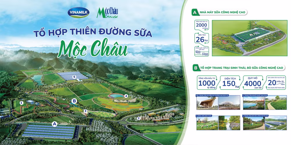 Hé lộ hình ảnh 'Thiên đường sữa tại Mộc Châu' - kỳ quan Tây Bắc ảnh 1
