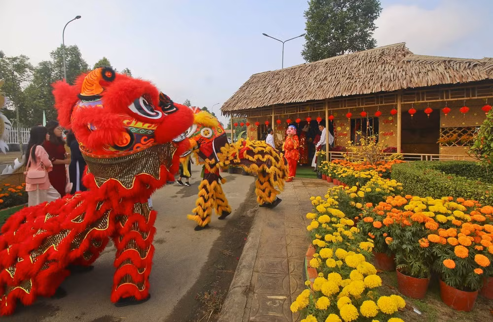 hau giang_duong hoa xuan (3).jpg