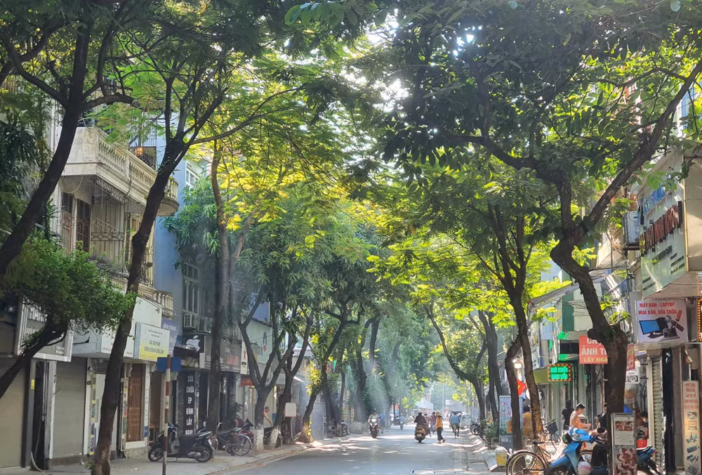 Khu vực Bắc Bộ nắng nhẹ, Tây Nguyên và Nam Bộ mưa rải rác ảnh 1