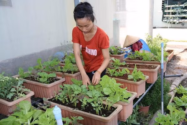 Đầu tư vào nông nghiệp công nghệ cao: Khó tiếp cận nguồn lực ảnh 1