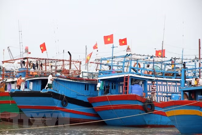 Tích cực tìm kiếm các nạn nhân mất tích do sự cố trên biển ảnh 1