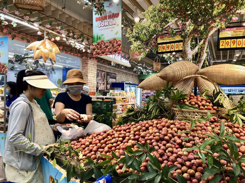 ttxvn_man_hau_va_nong_san_tinh_son_la_tai_thanh_pho_ho_chi_minh.jpg