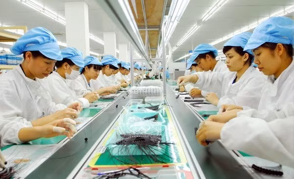 Giám đốc Quốc gia WB: Việt Nam tiếp tục tăng trưởng vững ảnh 1