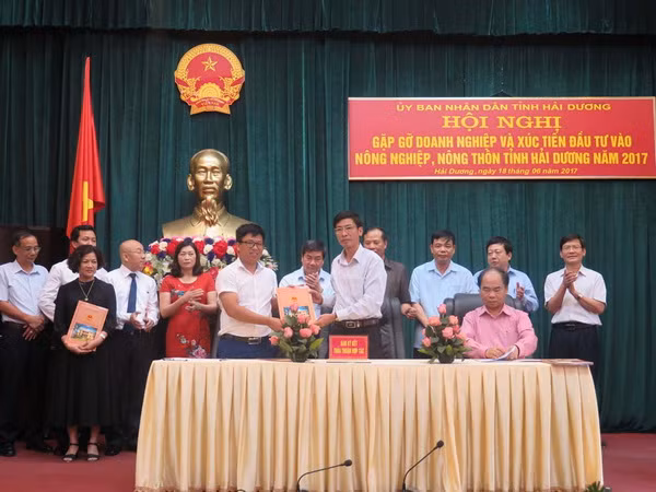 Hải Dương: "Thu hút đầu tư theo tinh thần tất cả vì nông nghiệp" ảnh 1