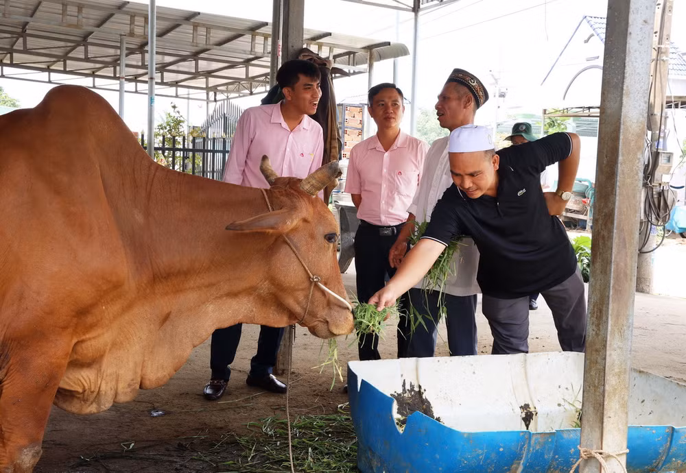 ttxvn_vay von tin dung Dong Nai.jpg