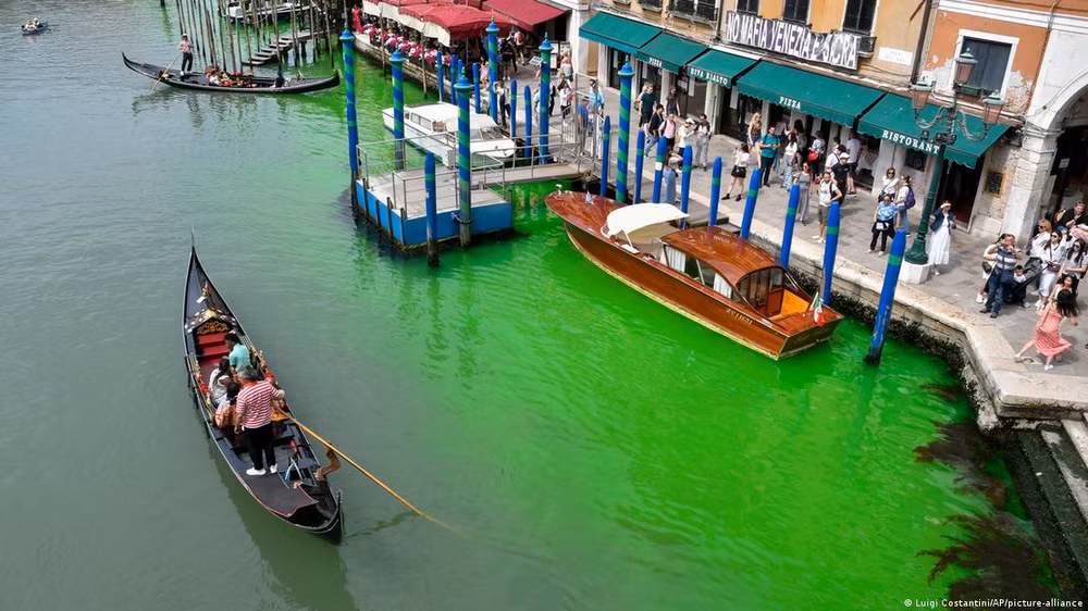 Vùng nước xanh huỳnh quang kỳ lạ xuất hiện trên kênh đào Venice ảnh 1
